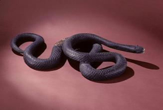 Snake Figure 1966.701.2