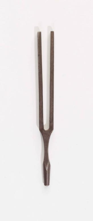 1991-26, Tuning Fork